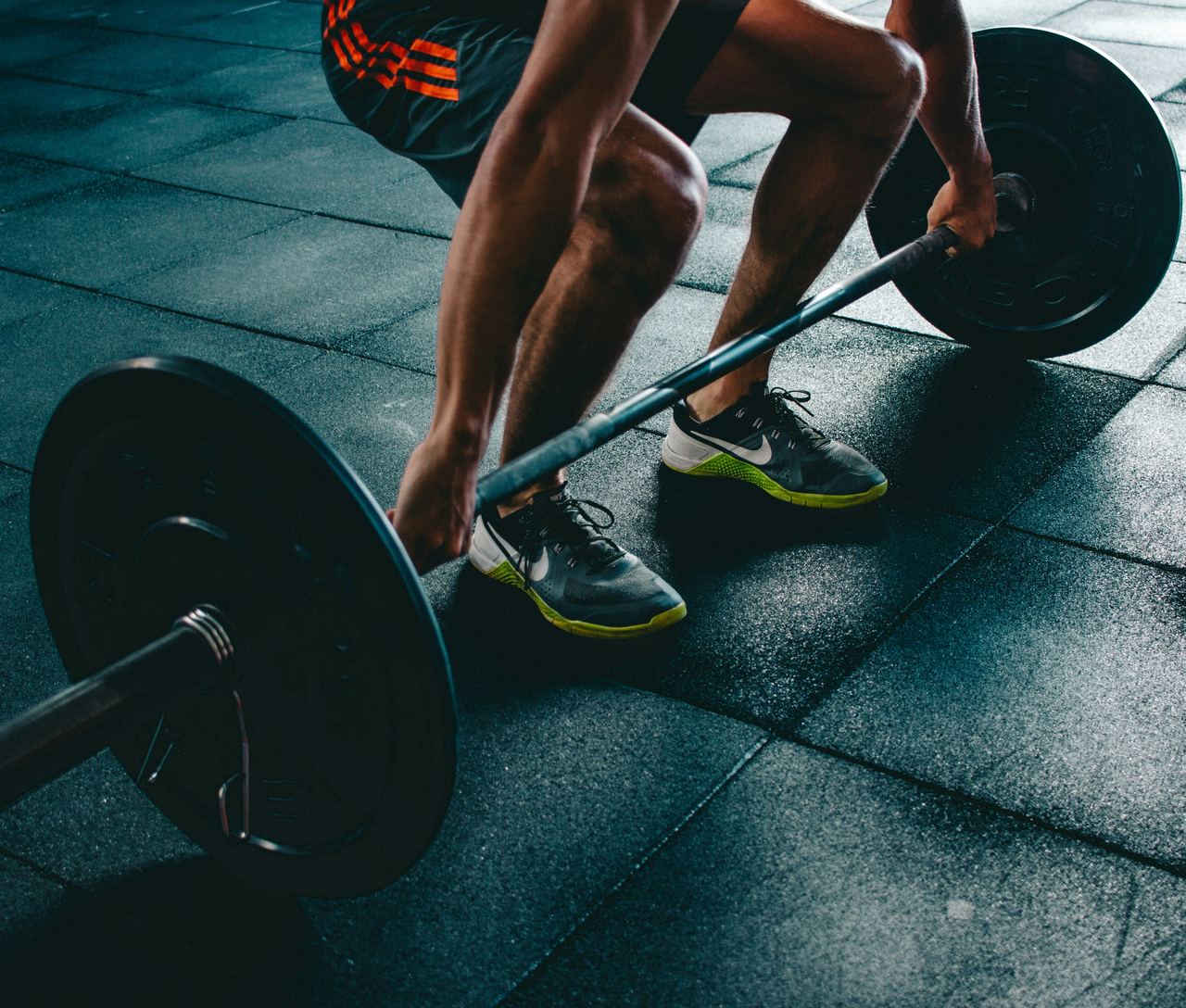 Forge Gym